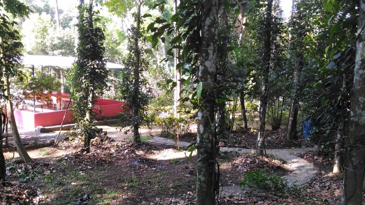 Philip Mary Farm Stay Текади Екстериор снимка
