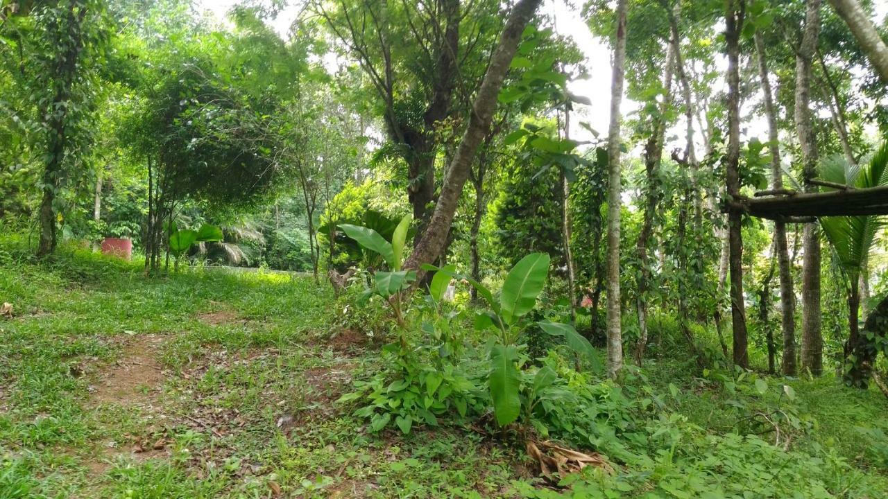 Philip Mary Farm Stay Текади Екстериор снимка